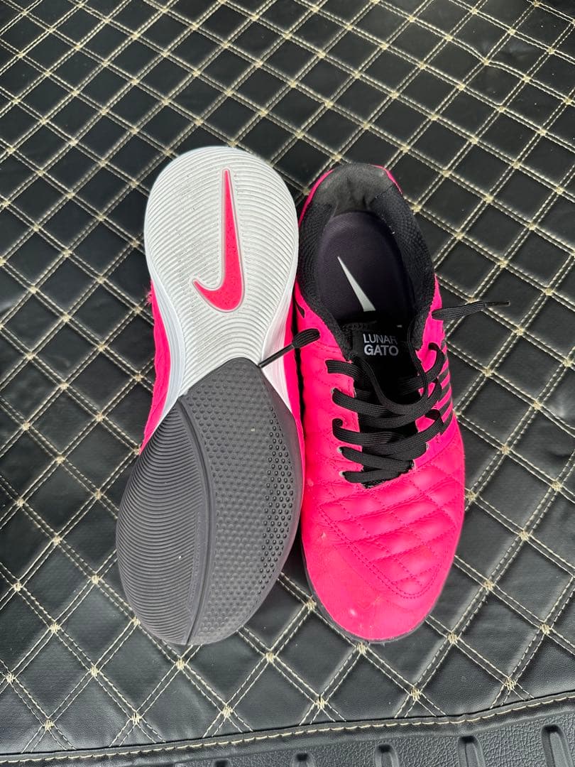 シューズ NIKE LUNAR GATO2