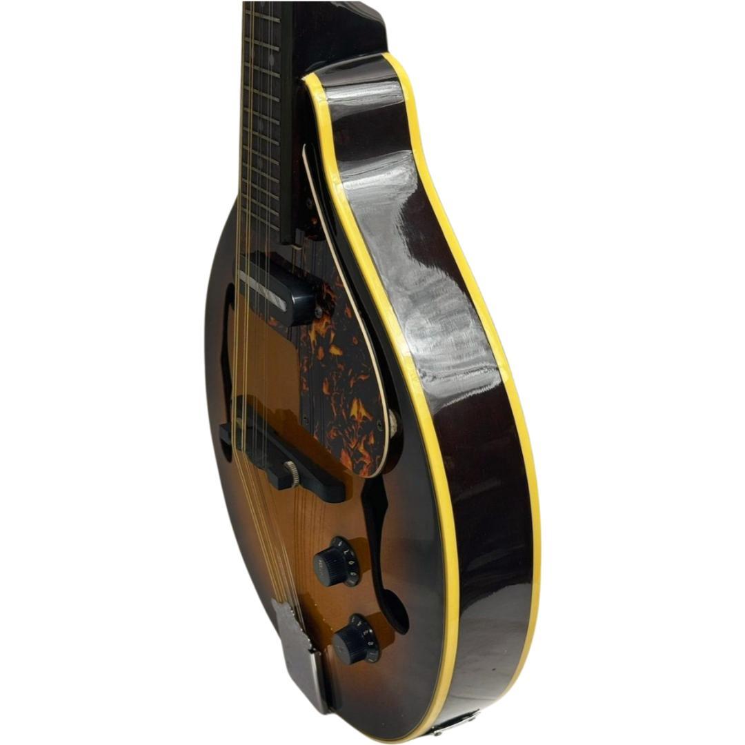 弦楽器 ARIA FlatMandolin AM-200E