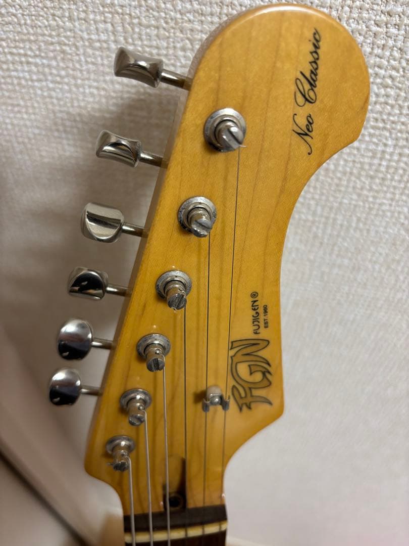 フジゲン　fujigen（FGN） SNST101【限定生産品】