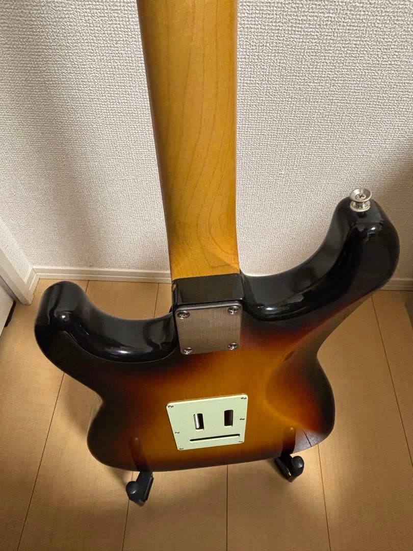 フジゲン　fujigen（FGN） SNST101【限定生産品】