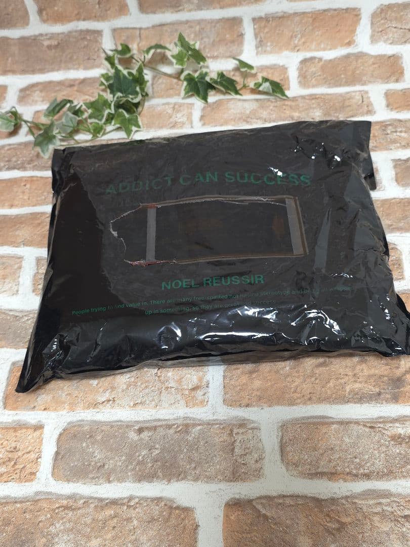 新品未使用 　ノエルレシール☆ Earth Logo ダウンワンピース