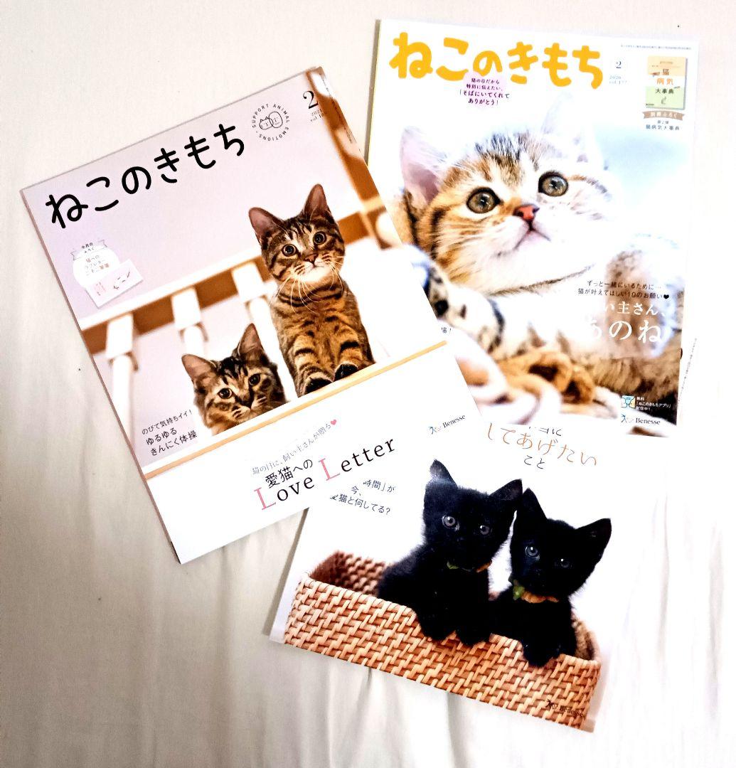 100万回生きた猫 絵本　雑誌など　８冊