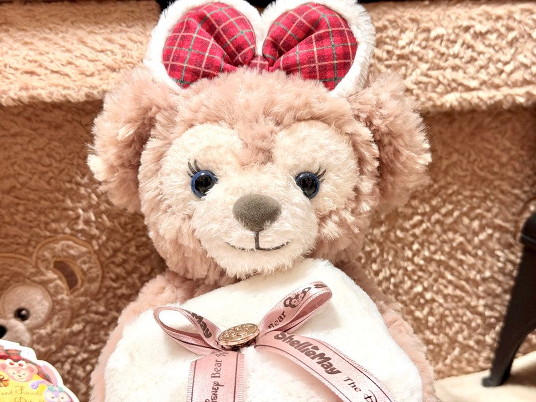 ダッフィー シェリーメイ クリスマス ボックス付き ぬいぐるみセット