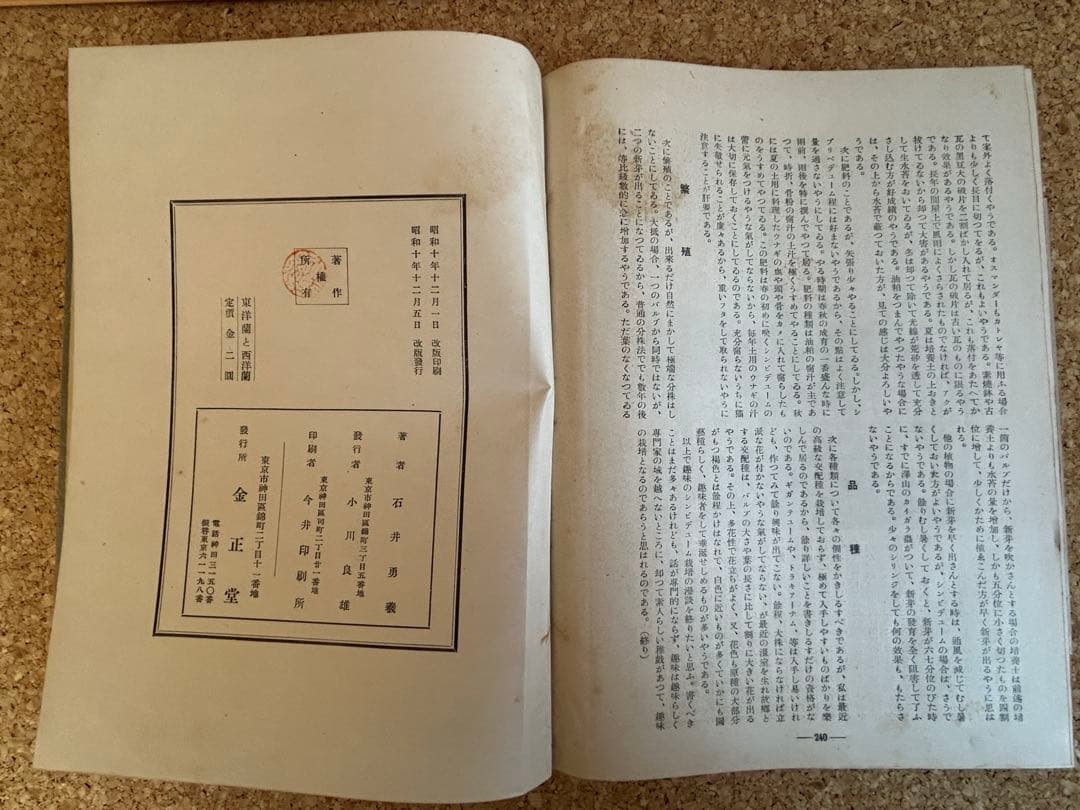 東洋蘭と西洋蘭　実際園芸叢書　第十四編