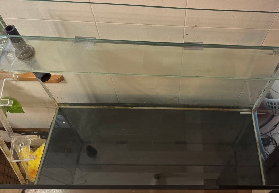 その1大型水槽 (ガラス水槽 オーバーフロー水槽　キャビネットセット)
