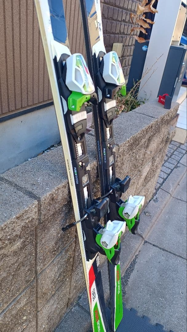 Elan Amphibio GSX Fusion 186cm GS スキー