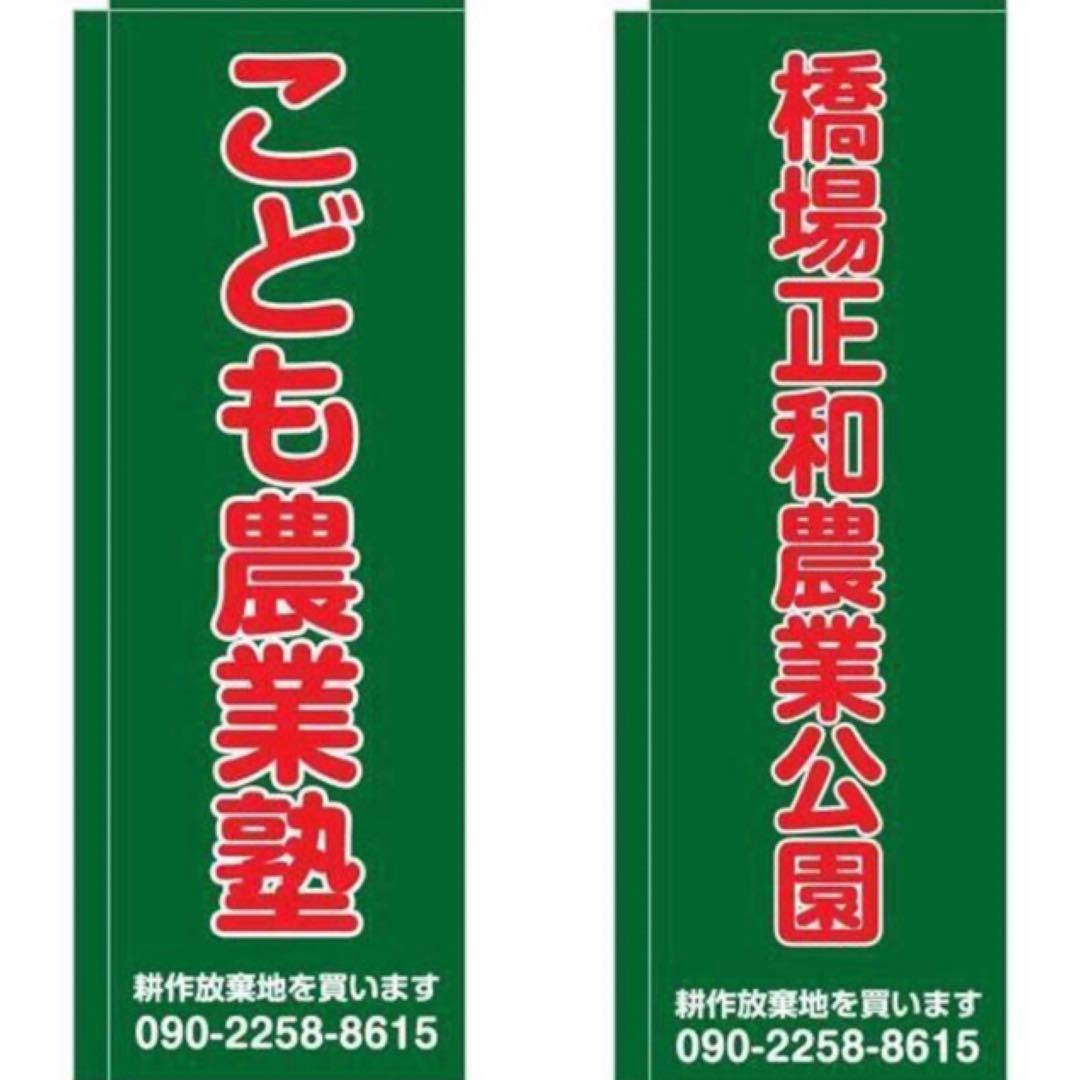 こころの風景コレクション【中嶋憲　レイク・ルーイズの朝】60％お値引き！！
