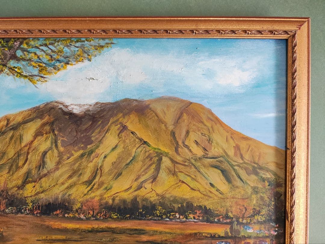 ​​【即発送】F30号 公募展 金装飾額（軽量ガラス無）白日会展可 保護用絵画付