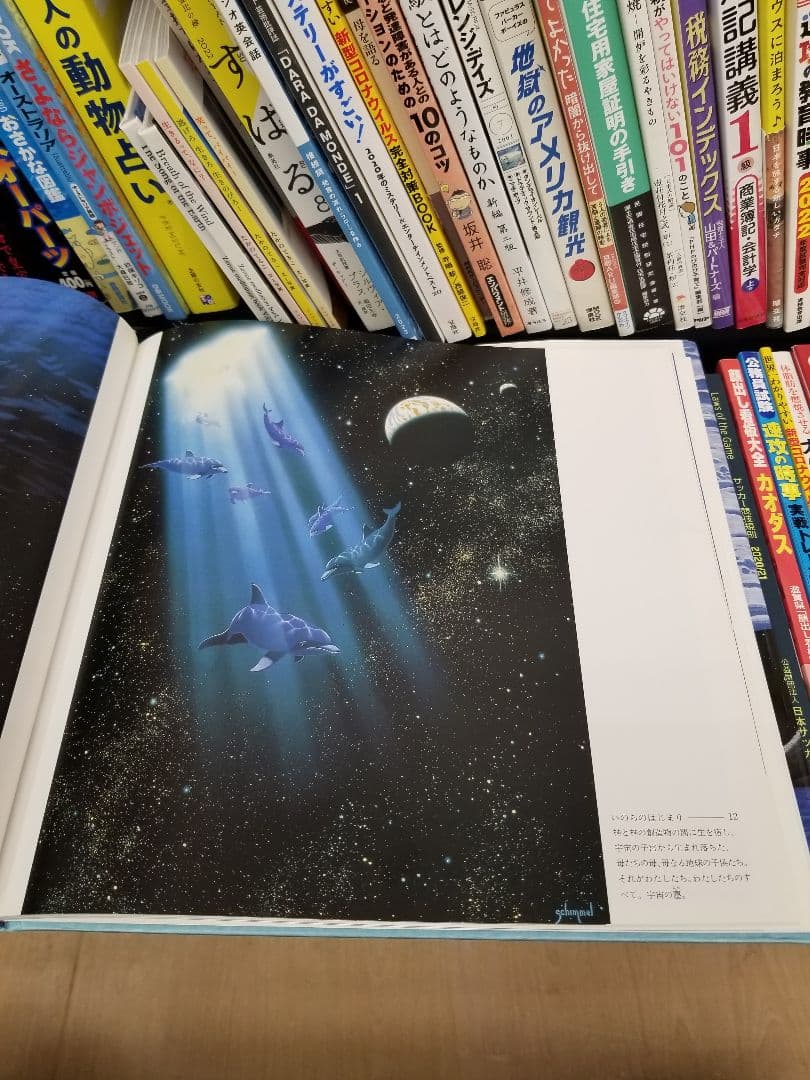 1992年　製作　シメール　ヴィンテージ　スペースエイジ　アート　ポスター