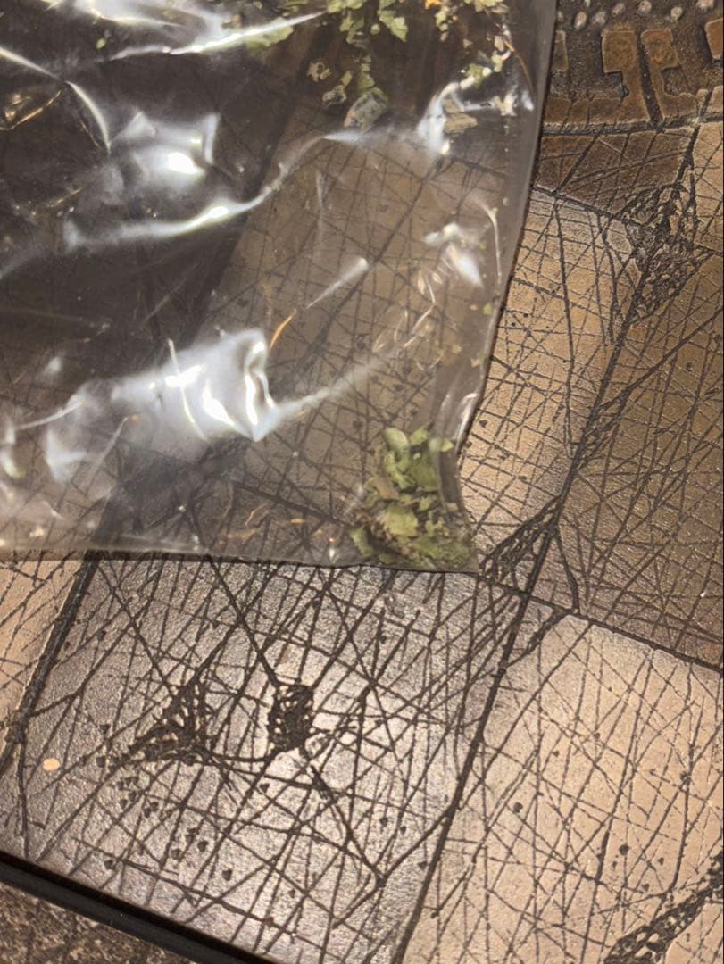 新品セール！Aliens vs Predatorエイリアンプレデター限定チェス