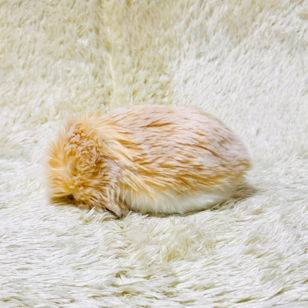 【美品】モフリン Moflin ゴールド AIペット コミュニケーションロボット