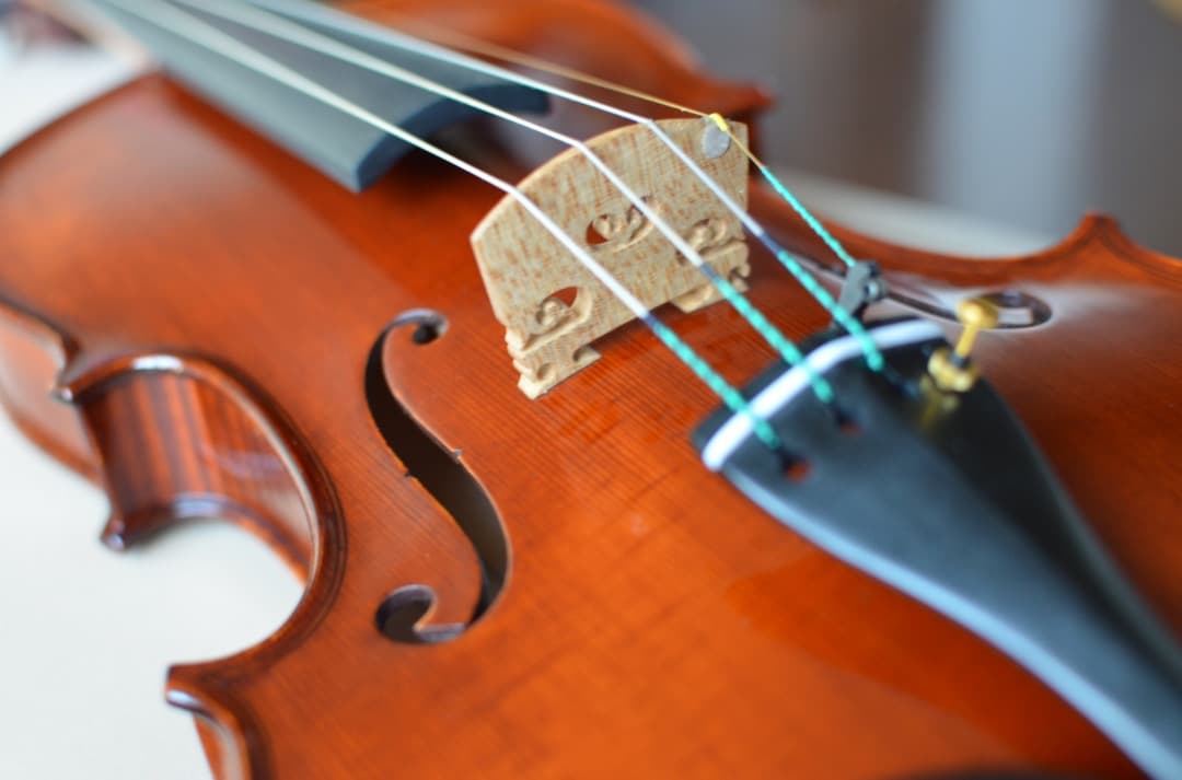 【新品】Gliga Cristian Maestro 4/4 そうちゃん