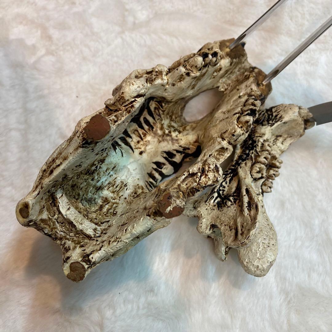 サーベルタイガー頭骨 ナイフ カランビット風 スカル オブジェ