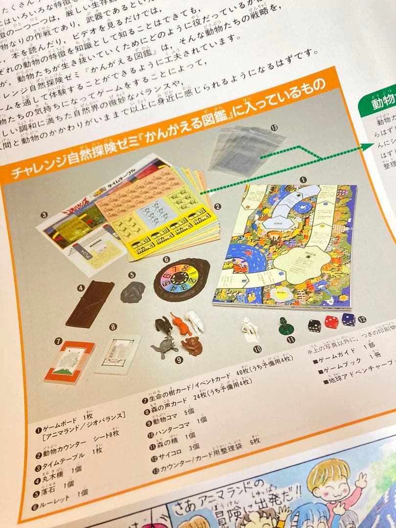 チャレンジ自然探検ゼミ　かんがえる図鑑　すごろく
