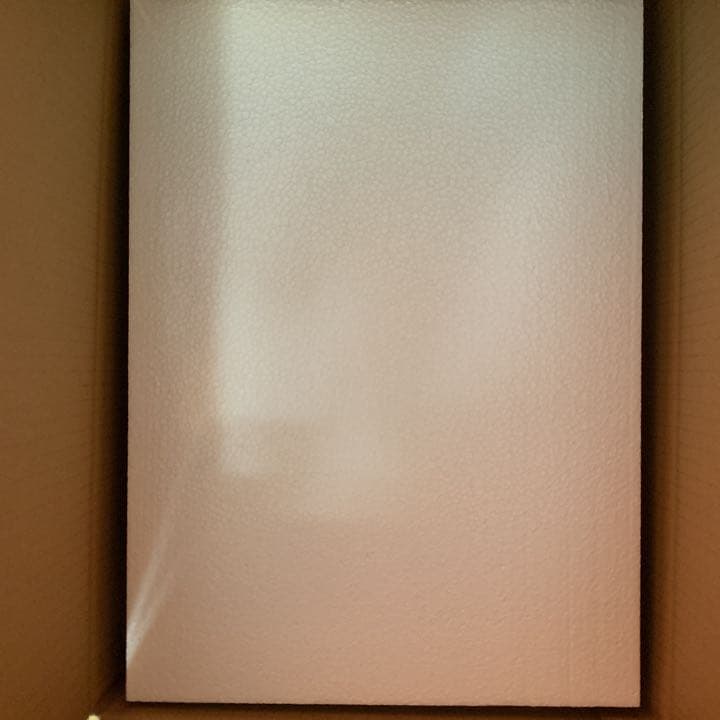 豊田ルナ　直筆　サイン入り　パネル　blt graph 限定　レア　新品写真