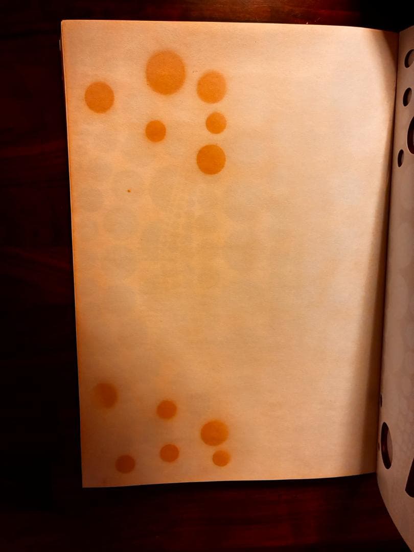 ラ*ー様 Louis Vuitton×草間彌生 限定ファインブック