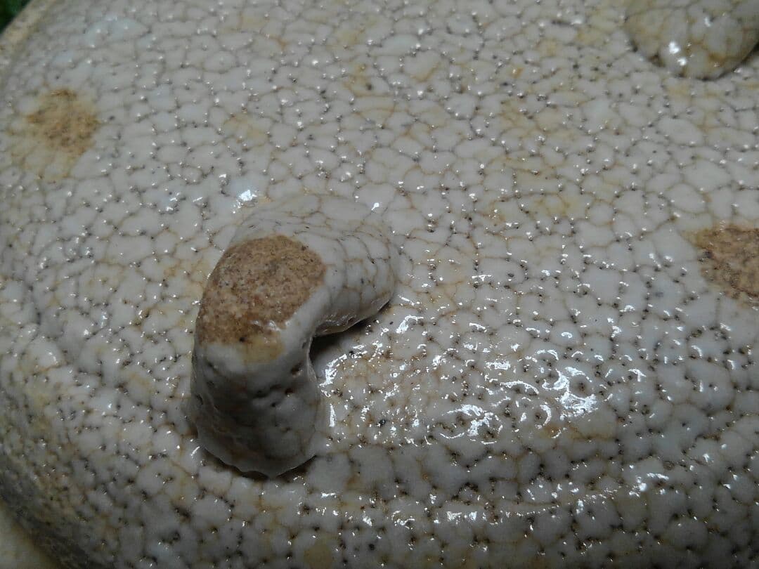 ♥美濃焼　志野　鉢　桐箱付き　志野織部　骨董品