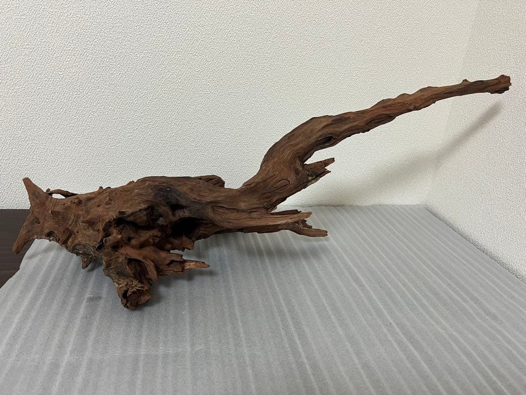 HX-080 流木　ホーンウッド　マシンガンウッド　アクアリウム　ブランチウッド