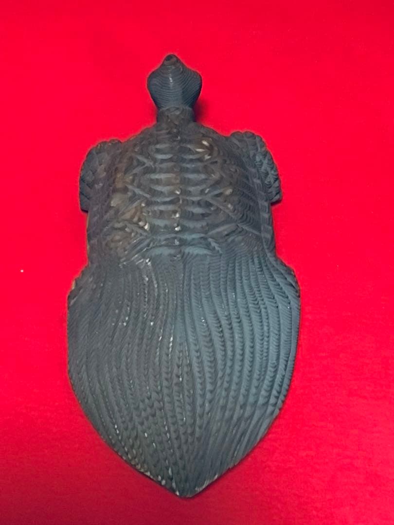 ◉逸品◉数寄屋造りの名棟梁〓平田雅哉◉一刀彫・木彫〓亀・千寿亀・蓑亀◉26cm