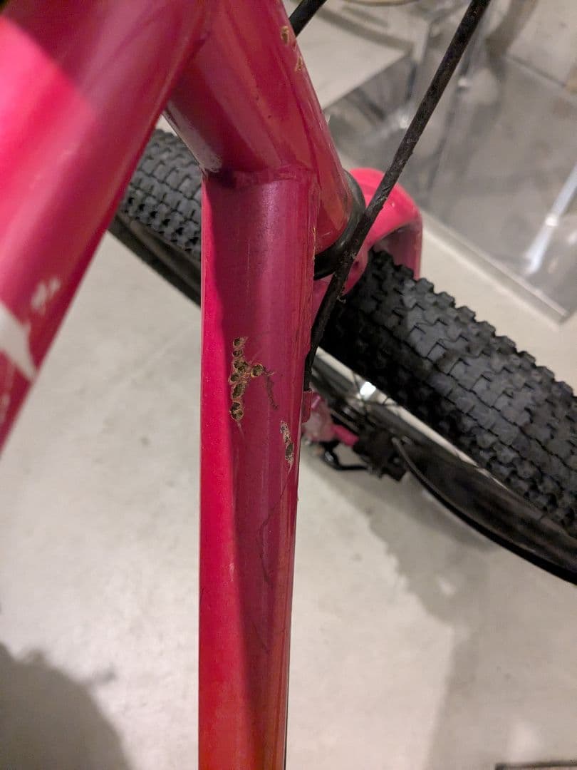 春値下げ　TERN GRIT Rage Fire数量限定品