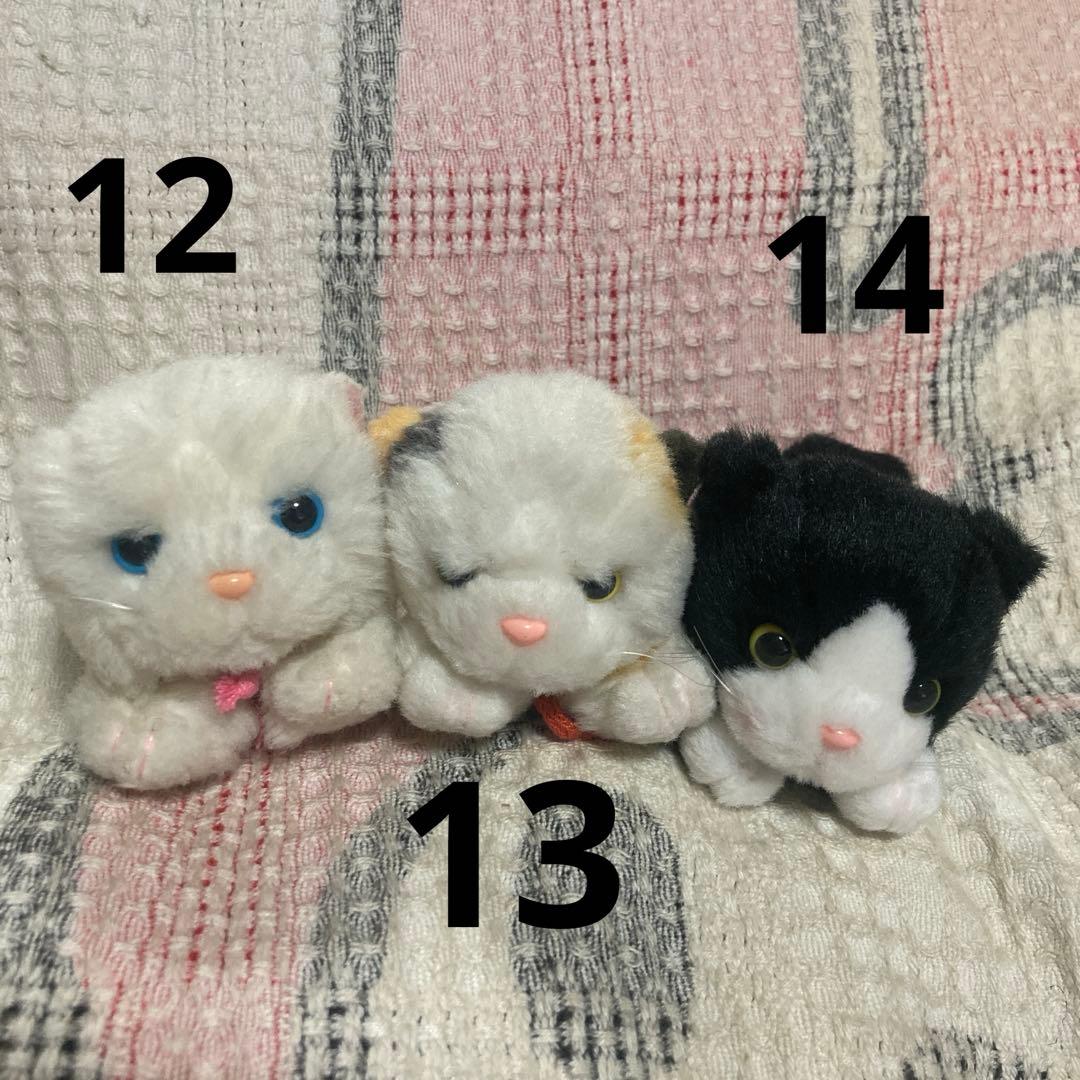 TAKENOKO joyful mates 猫　ぬいぐるみ＆マスコット　19こ