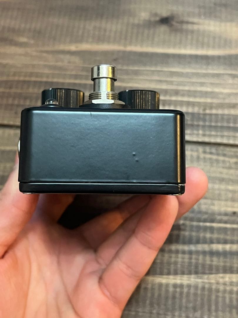 ギター JanRay clone