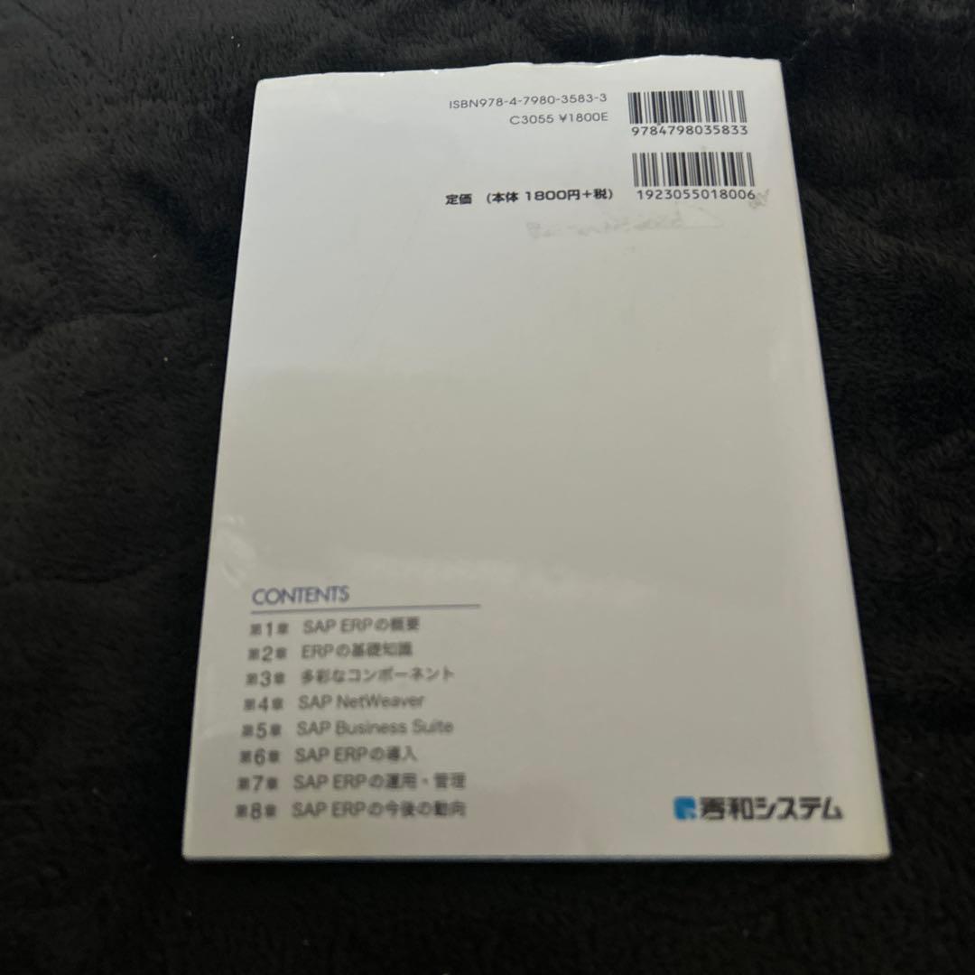 図解IT担当者のためのSAP ERP入門