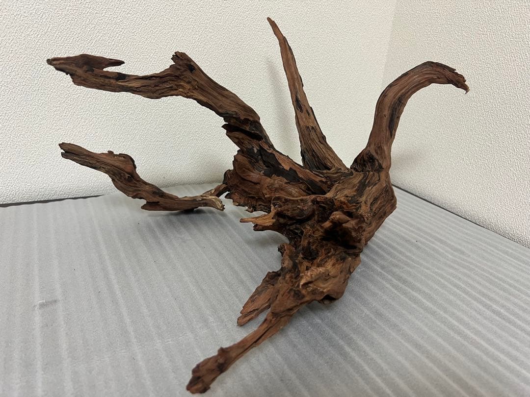 HX-079 流木　ホーンウッド　マシンガンウッド　アクアリウム　ブランチウッド