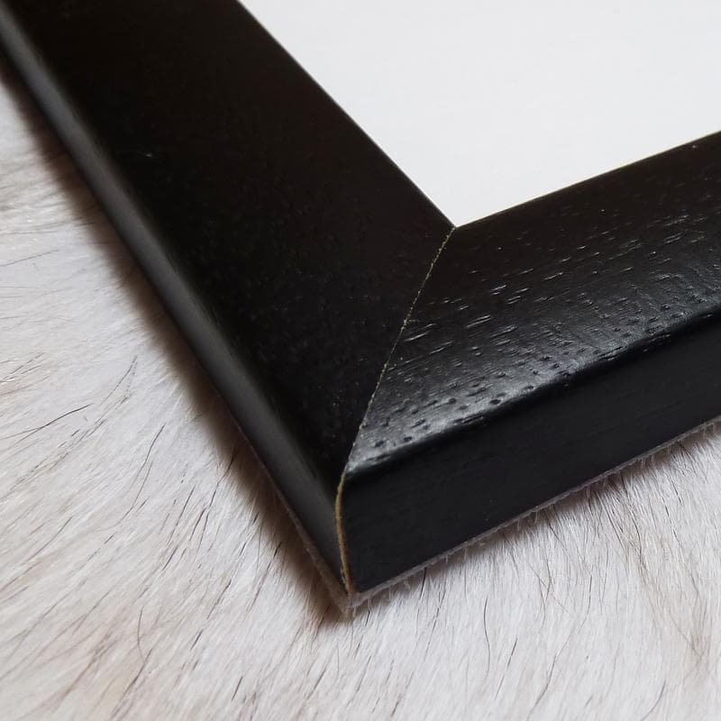 額装品/Harmony/クリスチャン ラッセン/アート/ポスター/インテリア