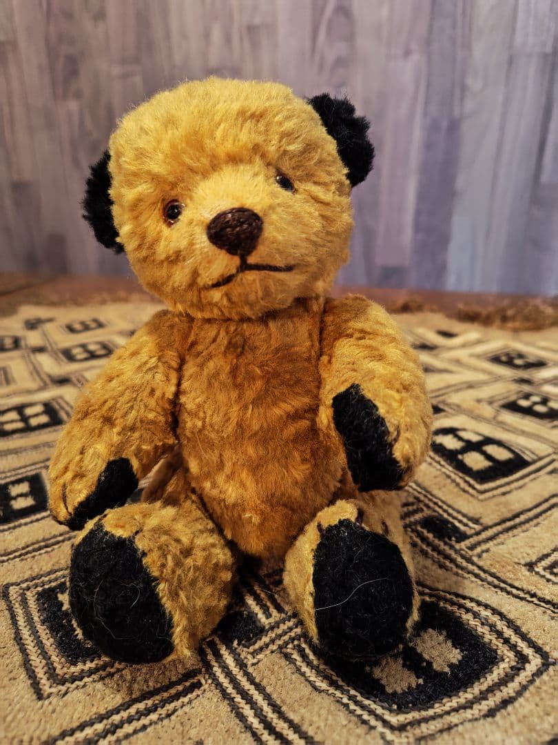 スーティー 1950年代