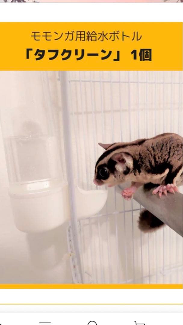 フクロモモンガ飼育用　一式セット（のびも15