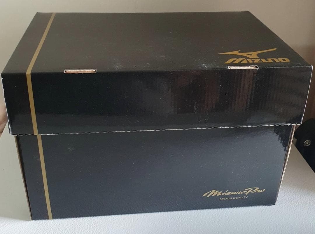 阿部慎之助 Mizuno Pro 硬式キャッチャーミット ミズノ ミズノプロ