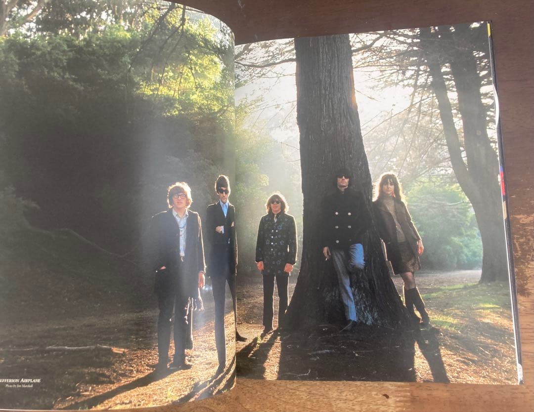 ◾️サンフランシスコサイケ集大4CD■V.A. /Love Is Thr Song