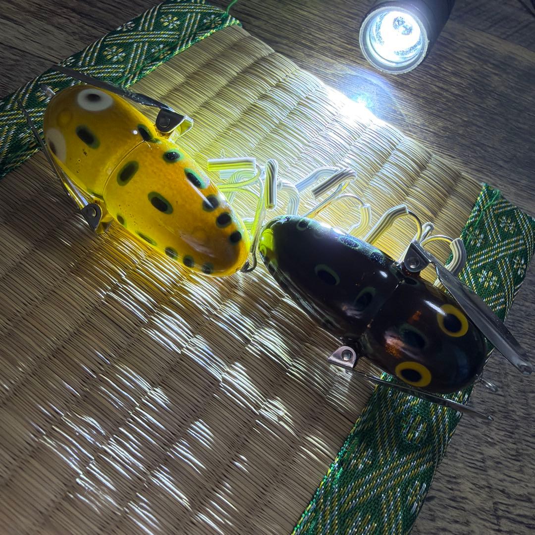 レア個体！スケスケ！ オールド ヘドン クレイジークローラー BFカラー