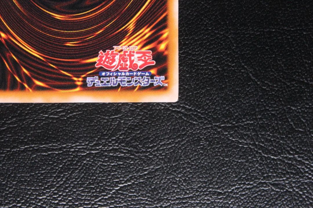 【遊戯王】LN-14 ダーク・ネクロフィア レリーフレア