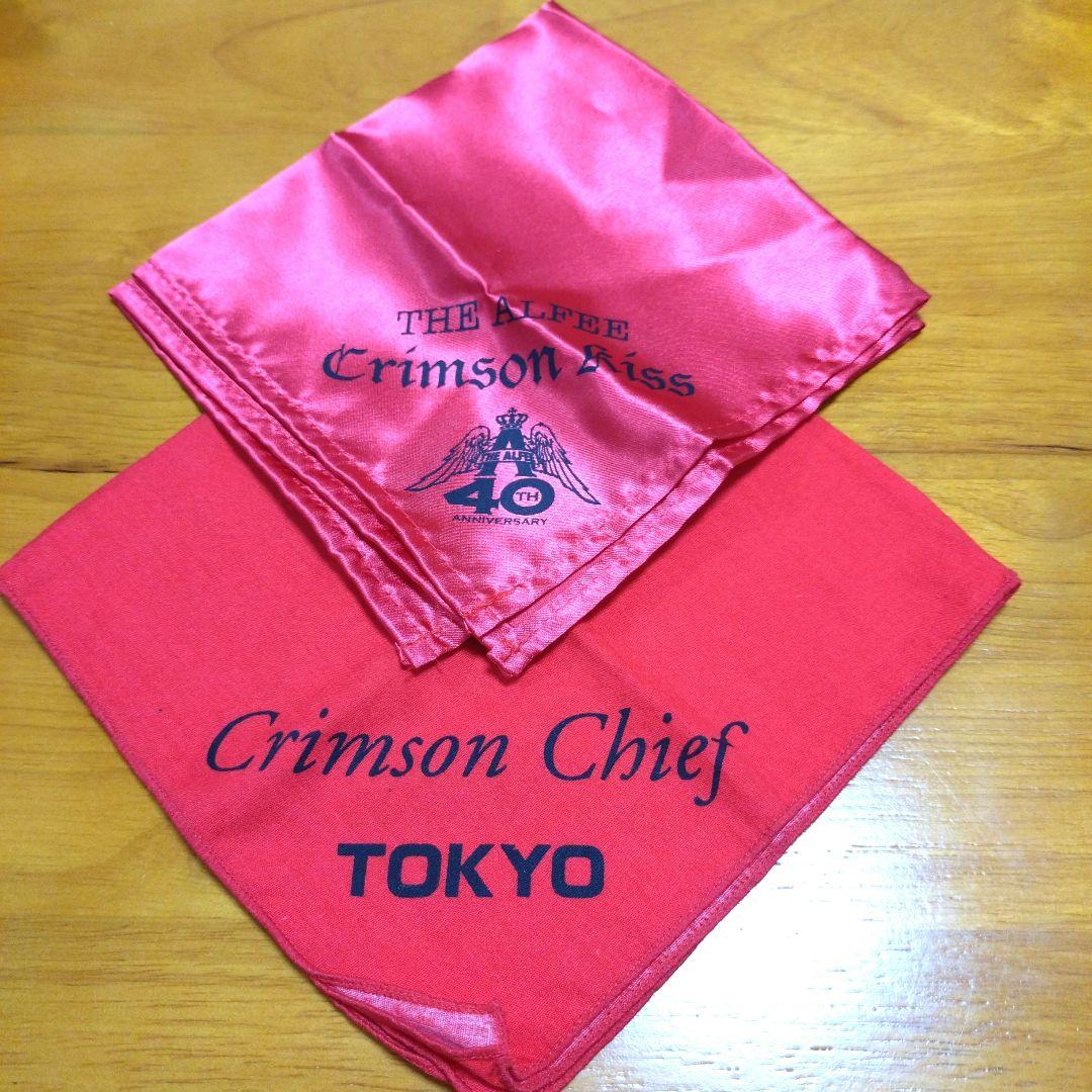 【貴重】THEALFEE 初代グローブ マラカス等 おまとめ