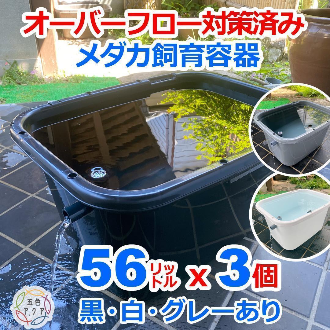 メダカ飼育ケース 56㍑x3個 白黒灰あり 大雨対策 金魚飼育容器 メダカ鉢