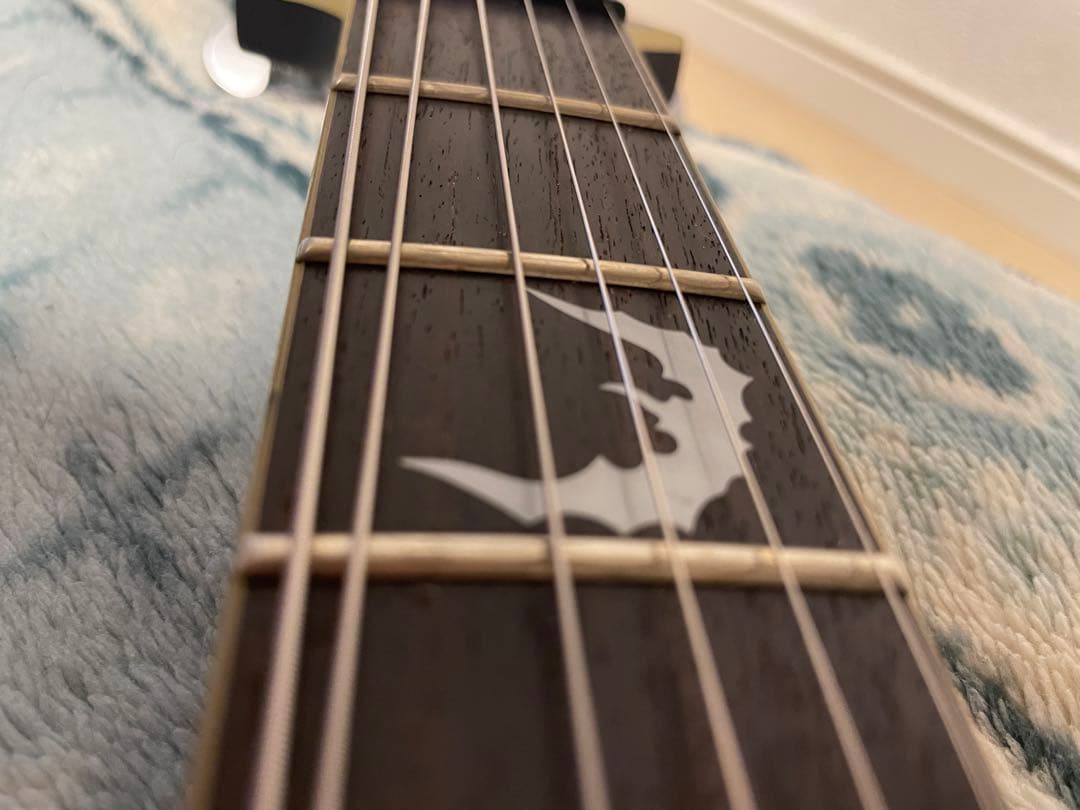 エレキギターシェクターSCHECTER Damien