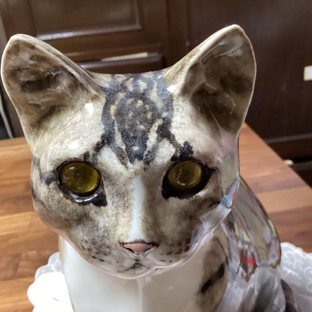 ウィンスタンレーキャット、ケンジントンキャットサイズ6の大きな猫