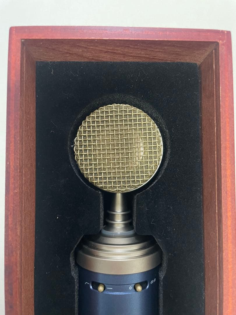 ⭐︎新品／未使用⭐︎Blue Microphones コンデンサーマイク 青