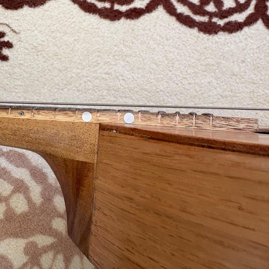 バジコ（フラットマンドリン）•ケース