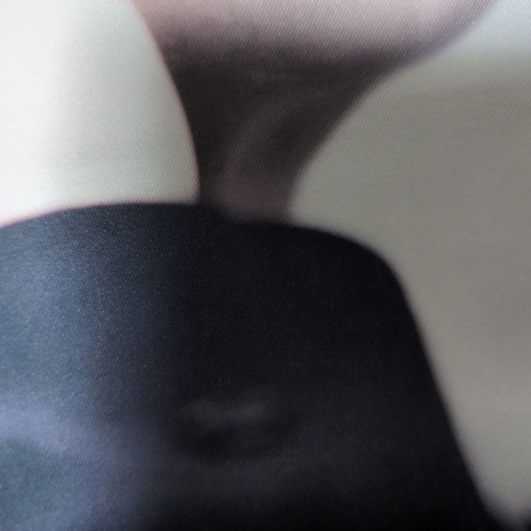 BUCK-TICK　クッションカバー