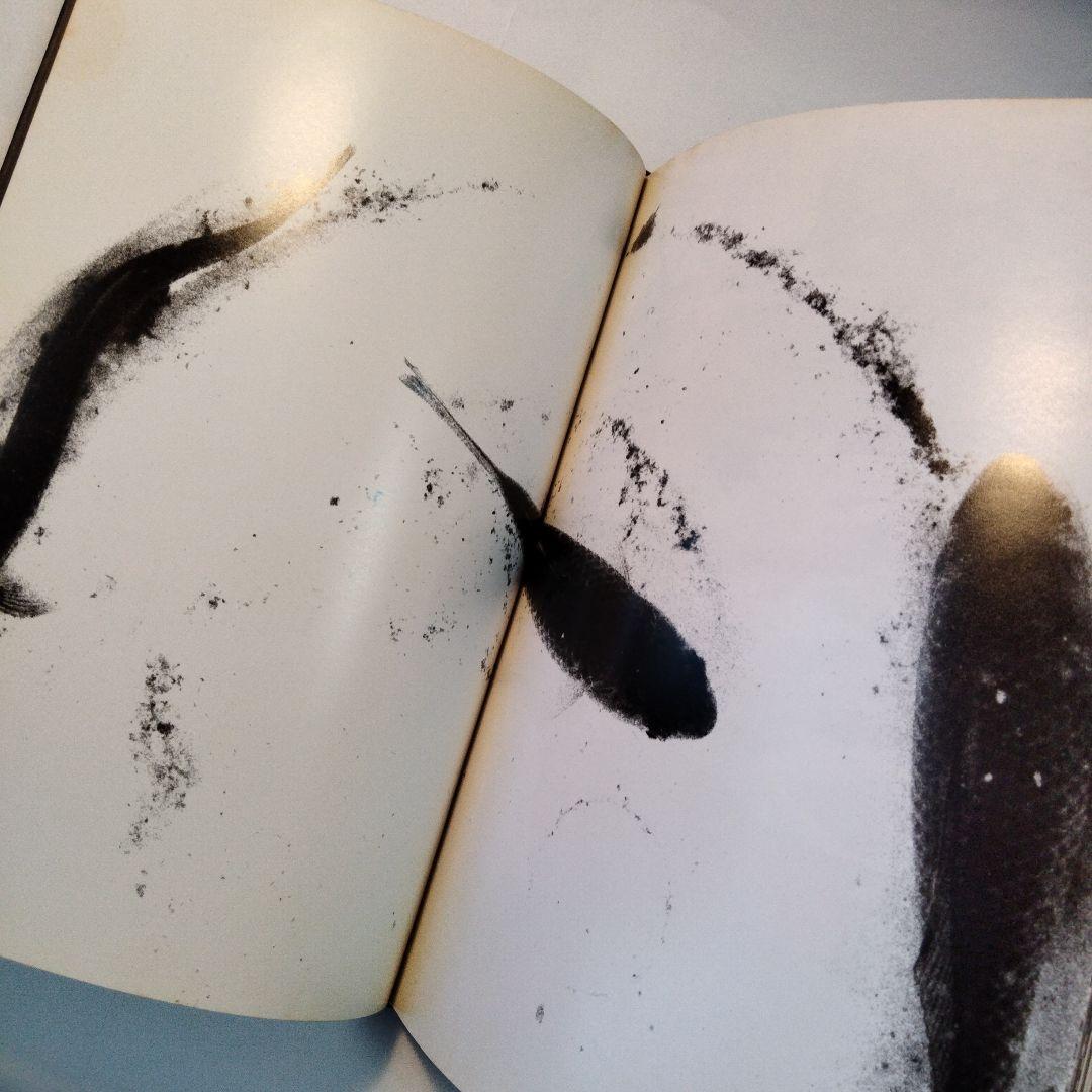 中平卓馬「新たなる凝視」