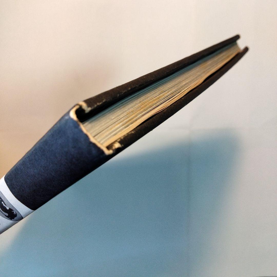 中平卓馬「新たなる凝視」