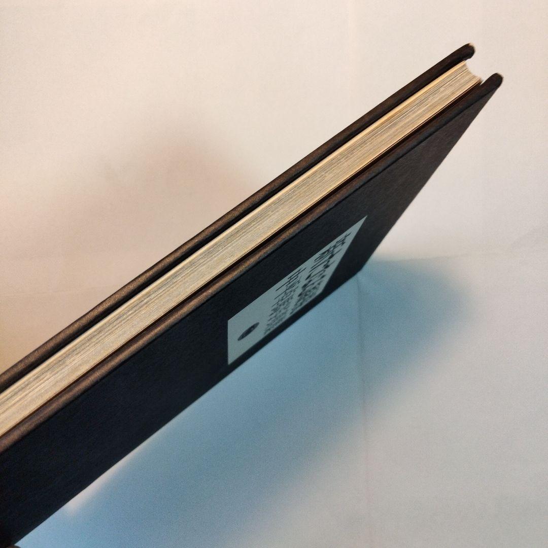 中平卓馬「新たなる凝視」