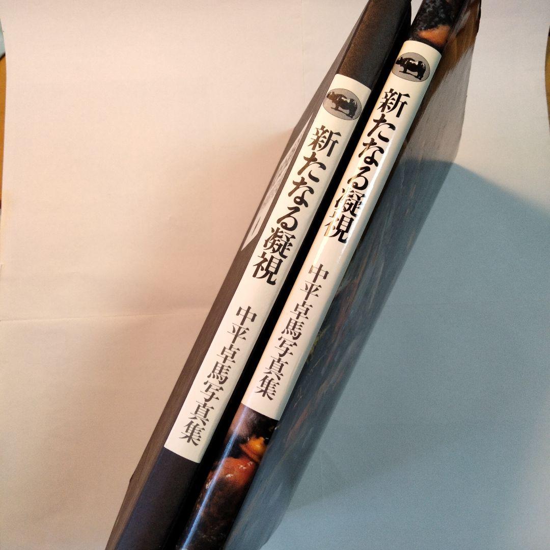 中平卓馬「新たなる凝視」