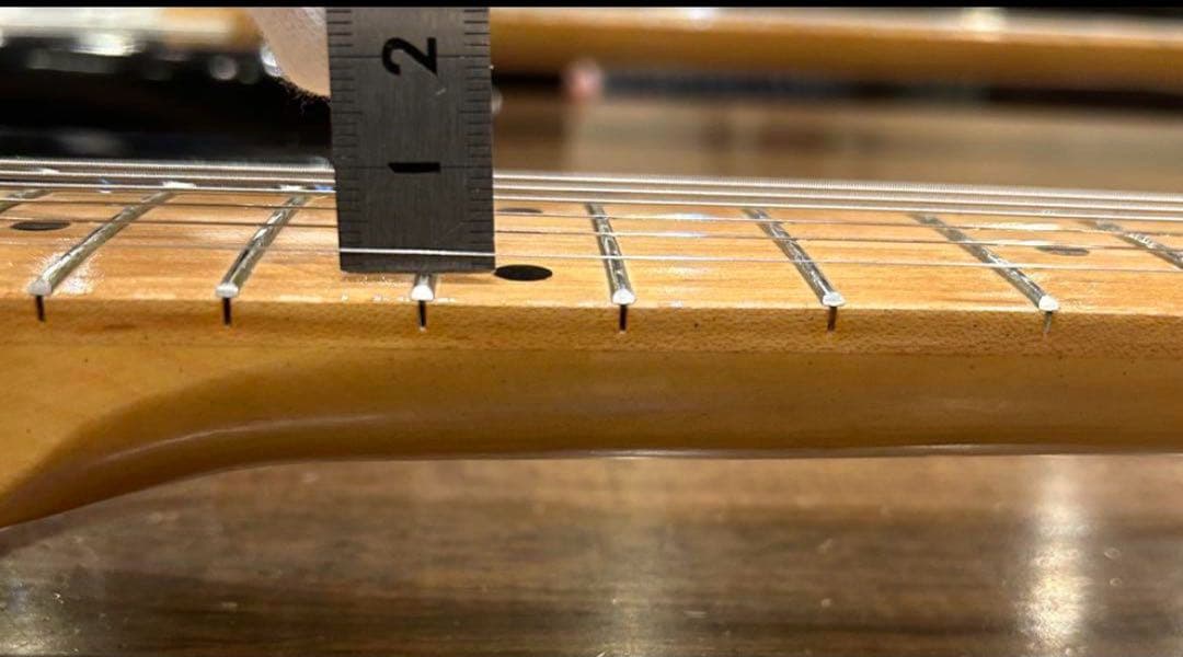 Holly Splendor Series エレキギター ブラック