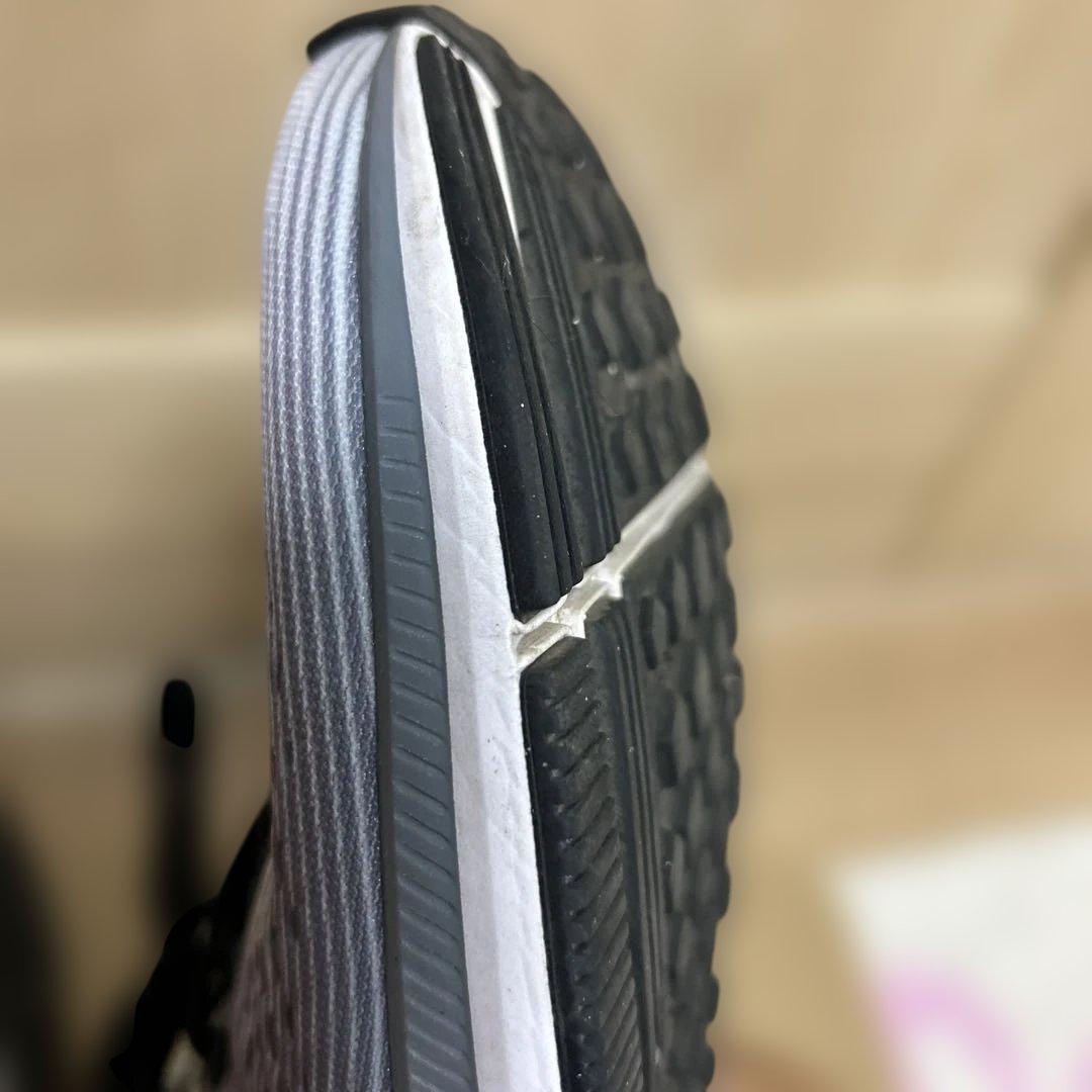 Nike Oregon project ペガサス　サイズ28cm