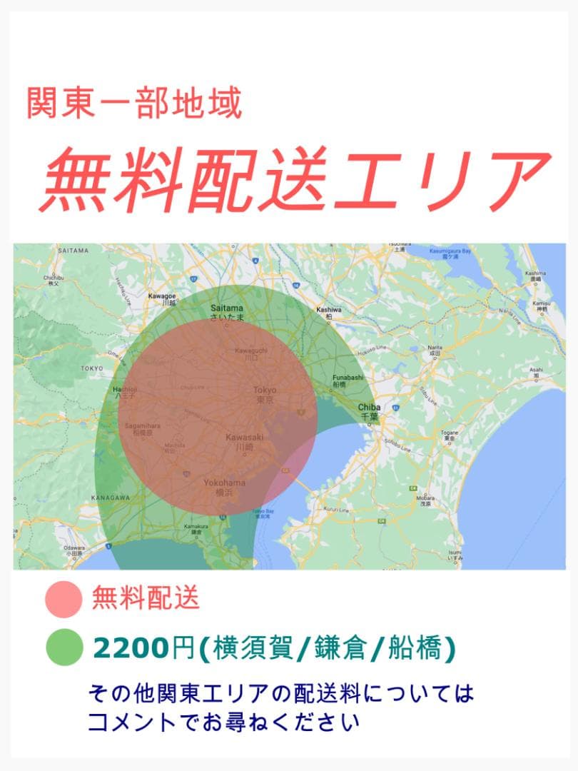 超人気 ビッケ 大人気ブリヂストン 子供乗せ電動アシスト自転車H1298