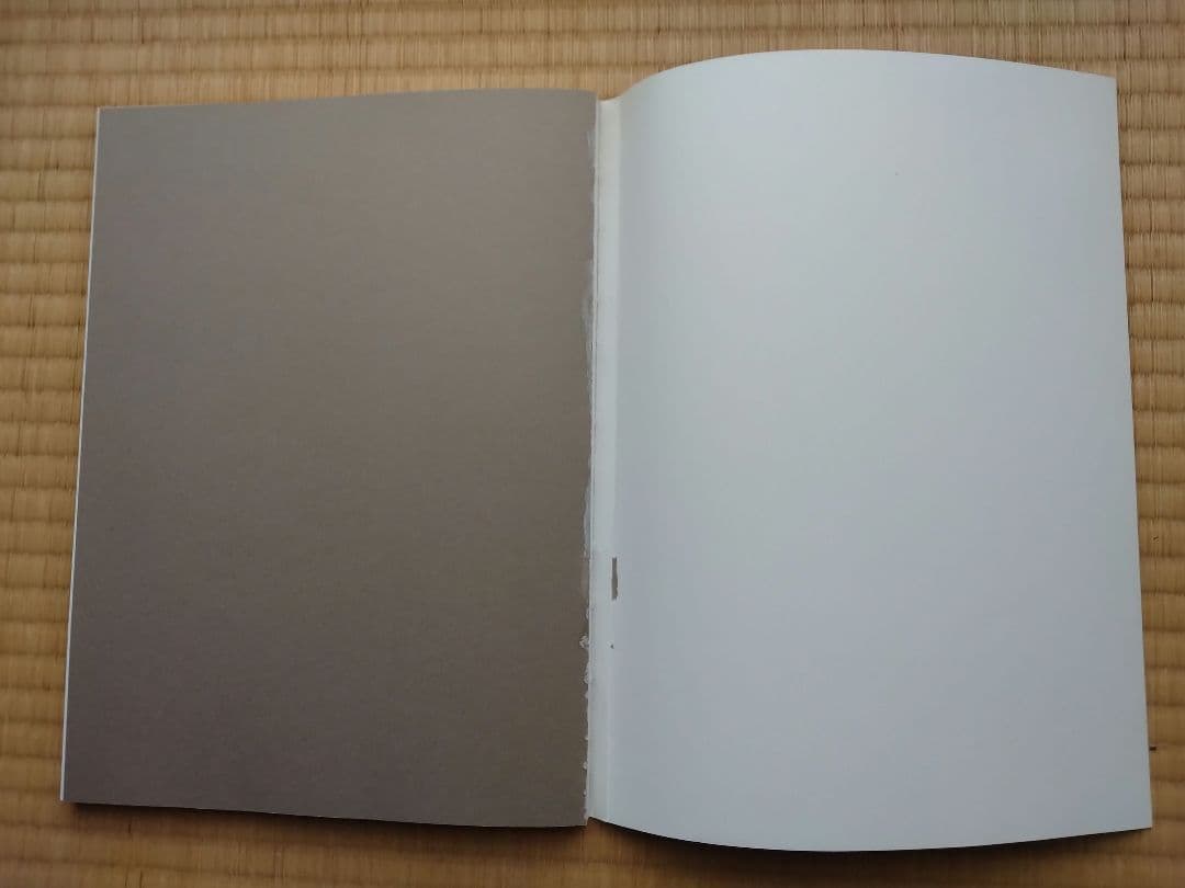 「手島右卿大観 臨書篇 」第一期・第二期・第三期　計30冊　独立書人団